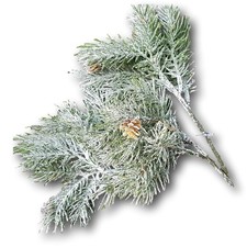3x Tannenzweige geeister