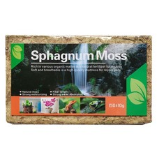 Spagmoss Sphagnum Moos