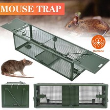 Rattenfalle Draußen