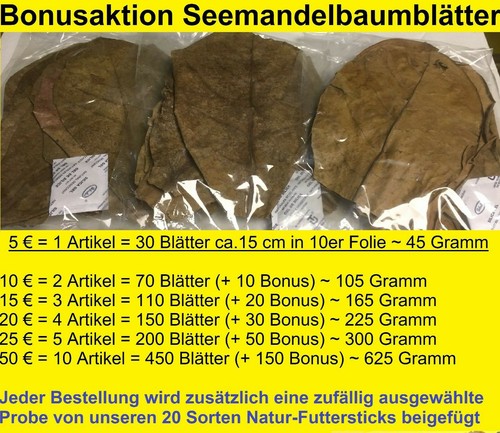 Seemandelbaumblätter
