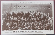 White star line - white,