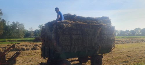 Heuballen - hd-,