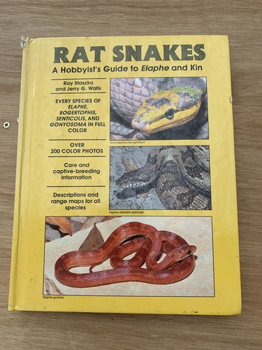 Rat snakes hobbyist s - rat, hobbyist's