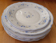 Arcopal Romantique Geschirr France, 6 große, 1  tiefer, 3 kleine Teller