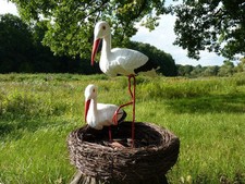 STORCHENNEST NEST 2 STÖRCHE