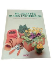 Balkon Terrasse Pflanzen