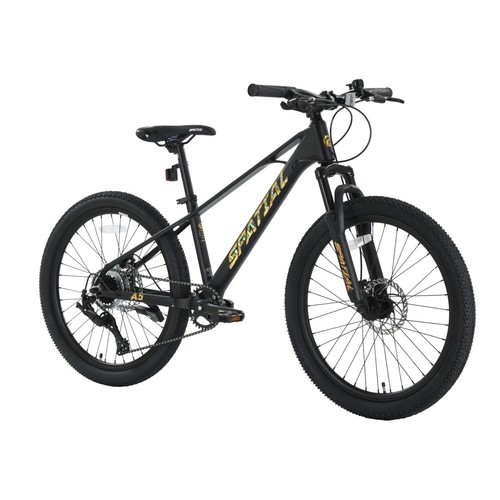 Spatial zoll mountainbike - 24,