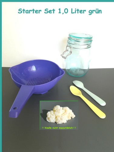 Milch kefir pilz - milch,