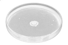 Gasket, Manual Transmission OE