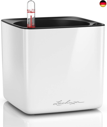 Lechuza cube glossy - cube, 14