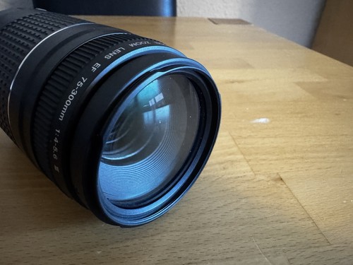 Canon 300mm 5 - ef, iii