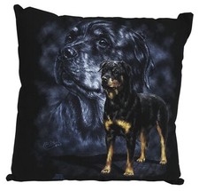 Deko- Kissen aus der