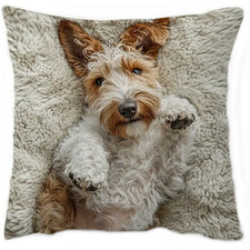 Kissen mit Füllung 45x45cm