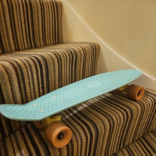 Official penny skateboard - penny,