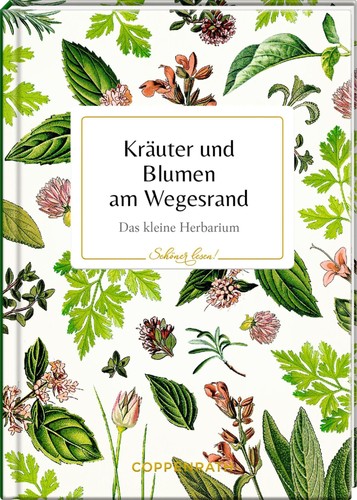 Kräuter und blumen - kräuter,