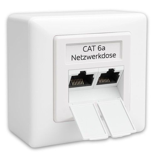 Lan dose cat - cat, 7