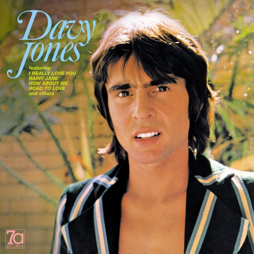Davy jones album - jones,