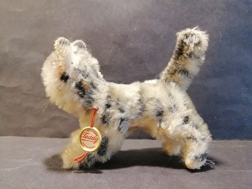 Alte katze original hermann - alte,
