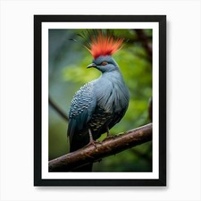 Feathers of Royalty: Crowned