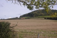 Foto 6x4 stoppeln - foto,