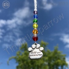 Sonnenfänger Haustier Verlust