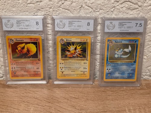 Pokémon flamara - pokémon,
