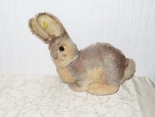 Steiff Hund Hase! H: 20,5cm