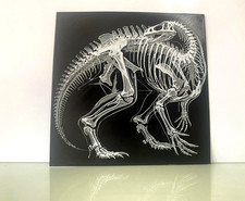 Dinosaur Dino X-Ray Hueforge