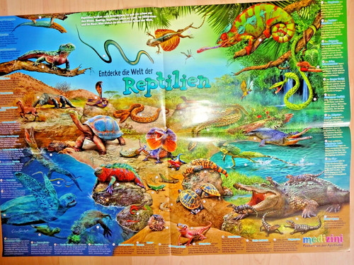 59x41 poster reptilien - 59x41,