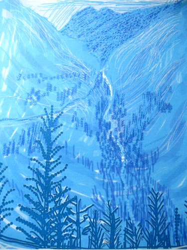 David hockney lithographie - david,