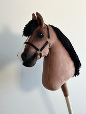 steckenpferd hobby horse