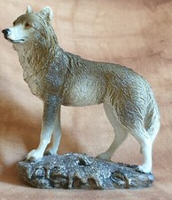 1 aufmerksam stehender Wolf 