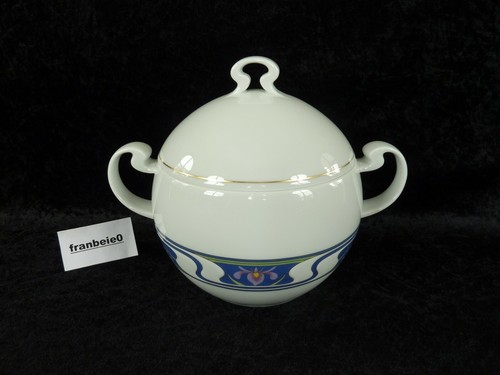 Rosenthal asimmetria iris - ",