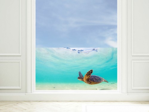 Fensterfolie unterwasser - fensterfolie,