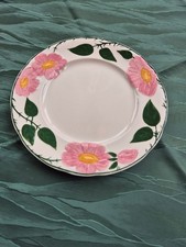 Speiseteller Eßteller 26 cm