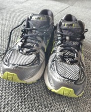 Brooks Ravenna 2 DNA