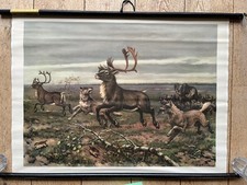 Alte Lehrtafel- In der