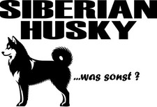 AUFKLEBER SIBERIAN HUSKY