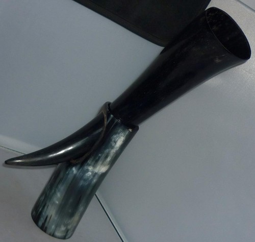 Schön ausgefallenes horn - schÖn,