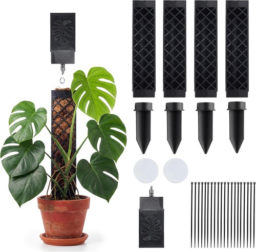 Moosstab für monstera 4er - moosstab,