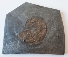 Sehr schöne Schieferplatte -