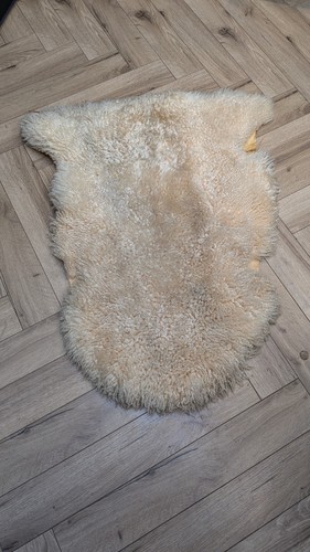 Vintage extra dick shaggy - vintage,