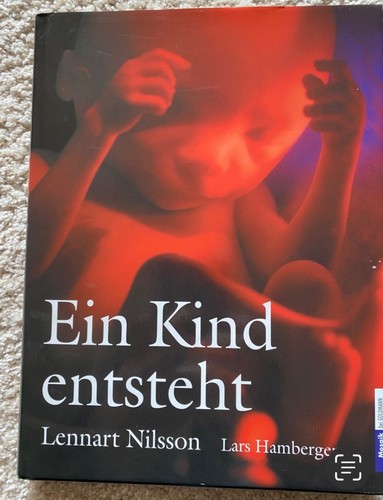 Ein kind entsteht - ein,