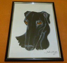 Galgo Espanol Hunde