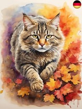 Amiiba Kreuzstich Set