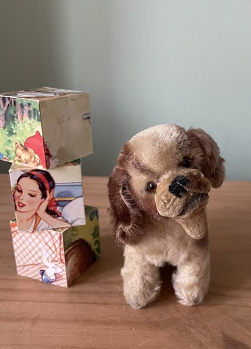 Rare steiff dog cocker - dog,