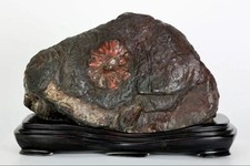 Suiseki Bonseki Bonsai