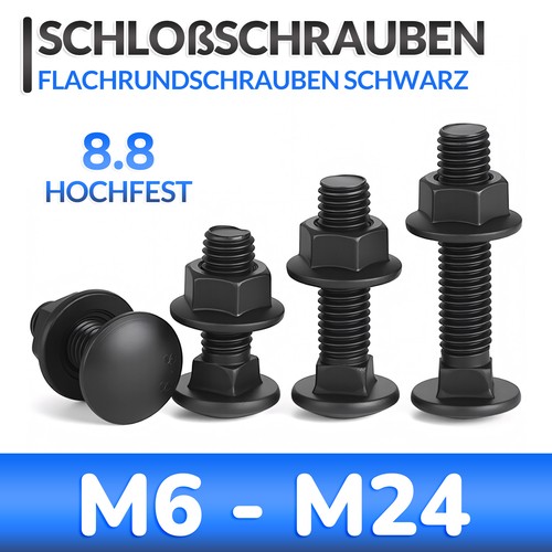M10 m24 - m10,
