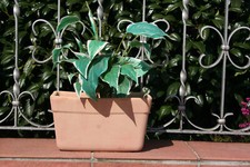 Tontopf Terrakotta pflanztopf