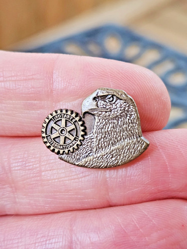 Rotary international eagle pin - international,